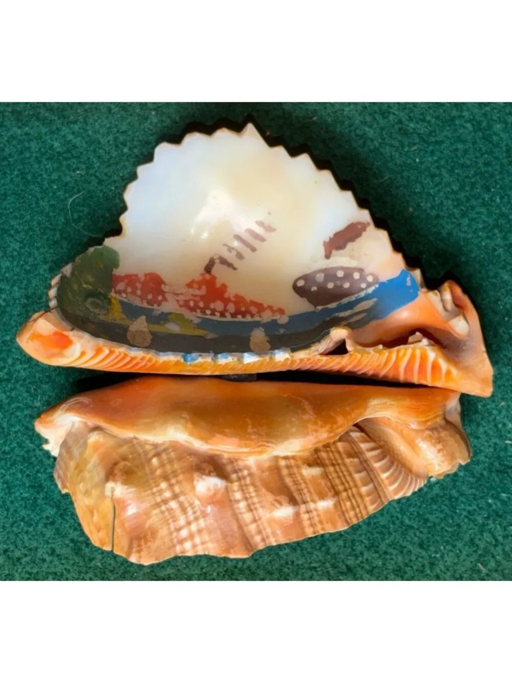 Hand-Painted Vintage Conch Shell Souvenir Coastal Nautical Landscape Scene